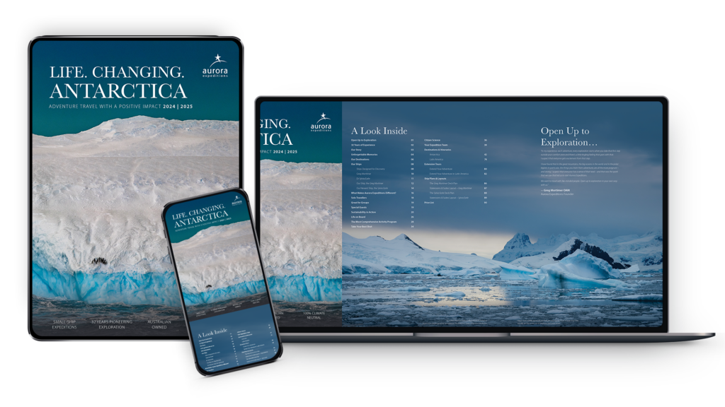 Antarctica Brochure Mockup