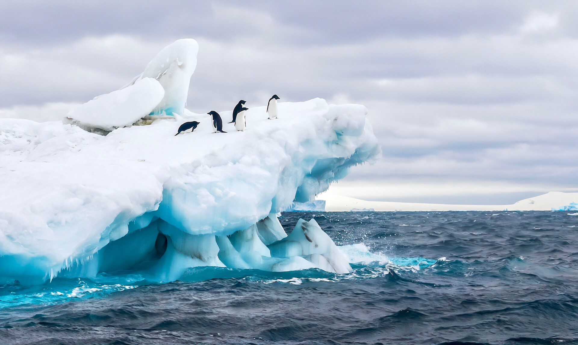 Explore & Capture: 2024 | 2025 Antarctica program