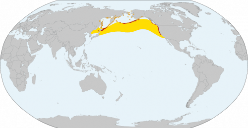 Tufted puffin distribution map